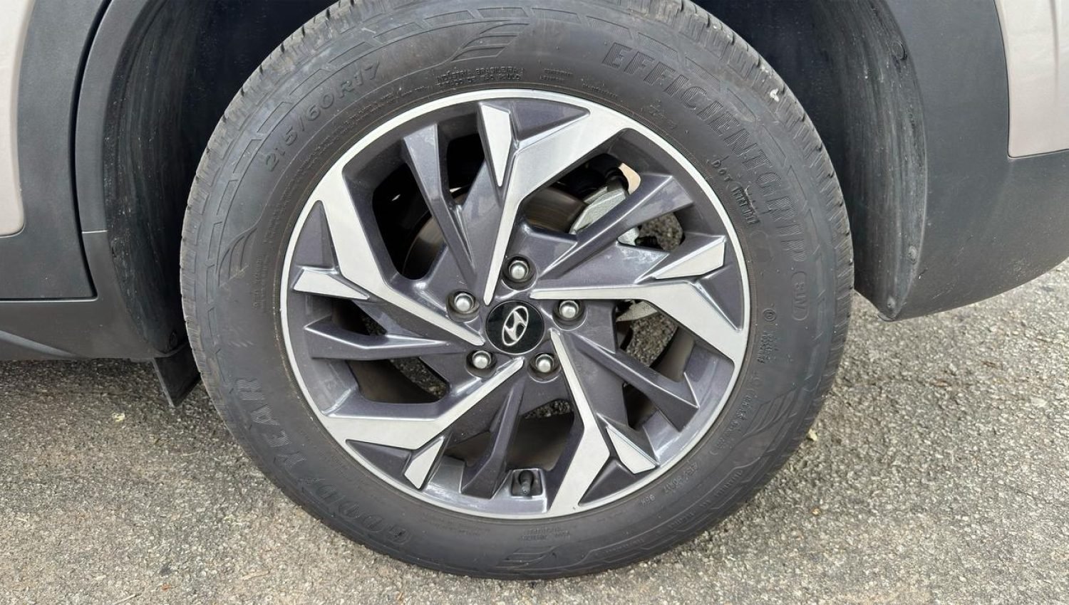 PHOTO-2025-12-01-12-15-44 3